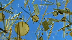 Illustration for article titled Best of the Week: October 22-October 28, 2011